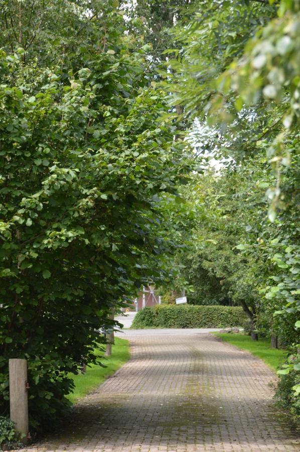 Bij Ons Op 20 Bed & Breakfast Nijeveen ภายนอก รูปภาพ
